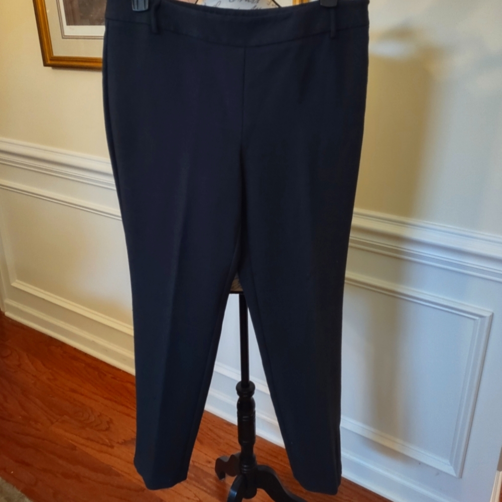 NWT Dana Buchman Charcoal Gray Dress Pants Zippered Leg Accent Strait Leg SZ 14